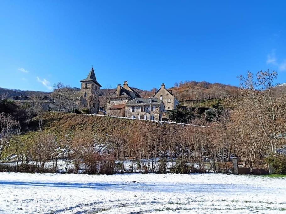 Maison Familiale Et Authentique Saint-Jacques-des-Blats Eksteriør bilde